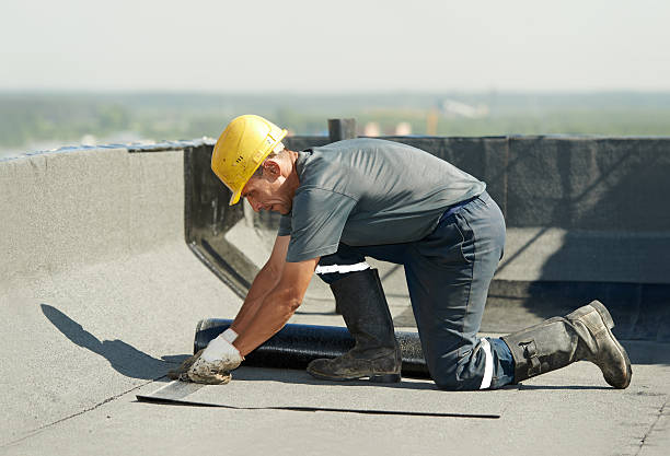 Best Insulation Contractor Near Me  in Mount Kisco, NY
